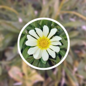 国产a一级无码毛片一区二区三区
