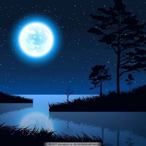 国产a一级无码毛片一区二区三区
